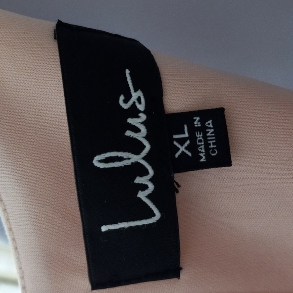 NWT Lulus Sheer Determination Mesh Skater Dress Sleeveless Peach  Size XL - Picture 7 of 8